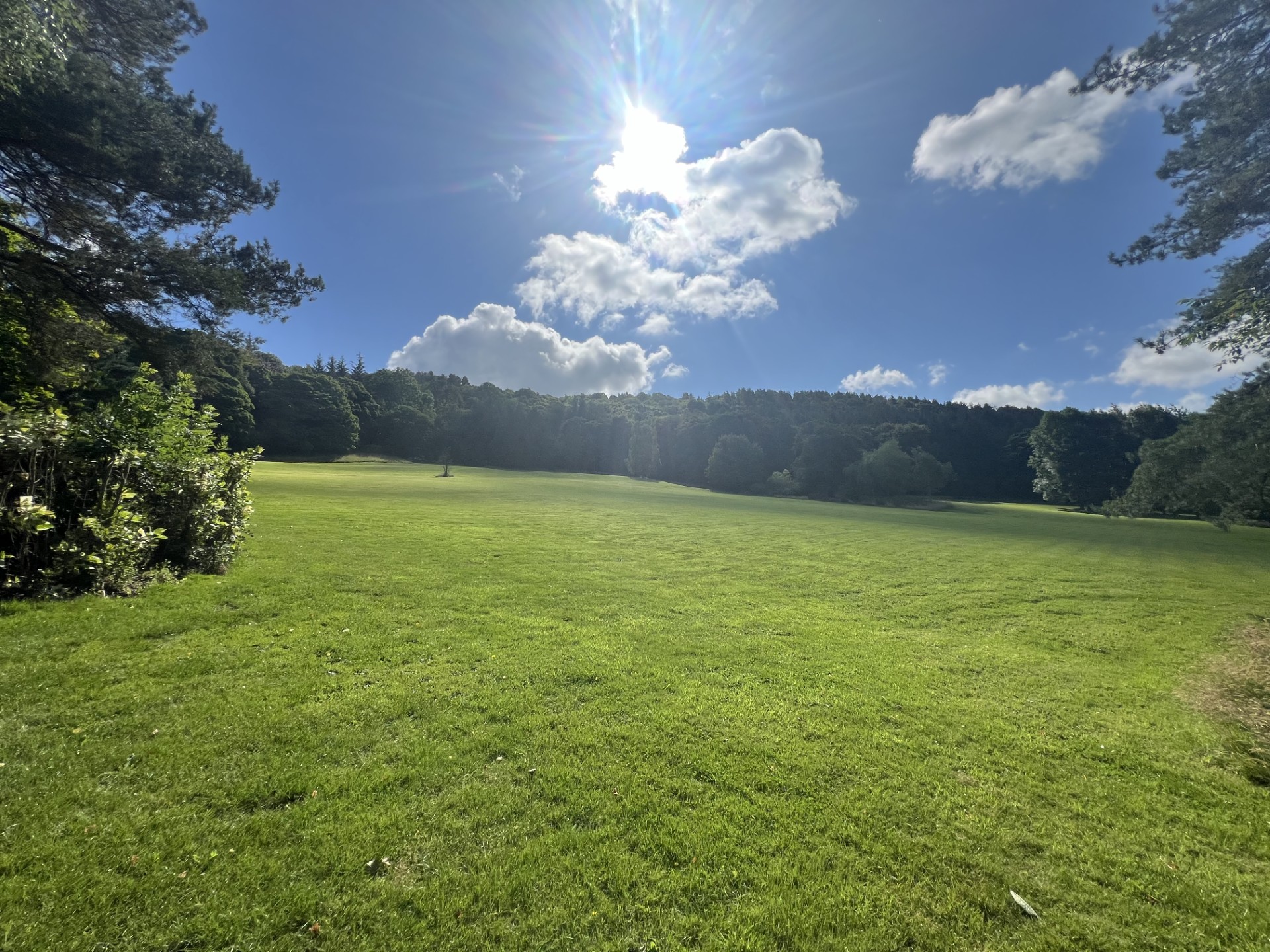 The shared gardens at Rowsley
