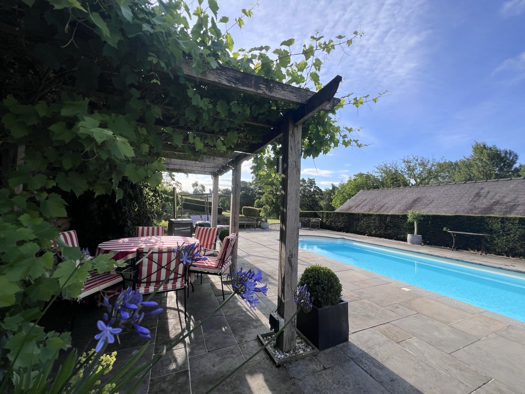 The private outdoor pool at Swallow's Cottage, seen from the vine-covered pergola with agapanthus in flower