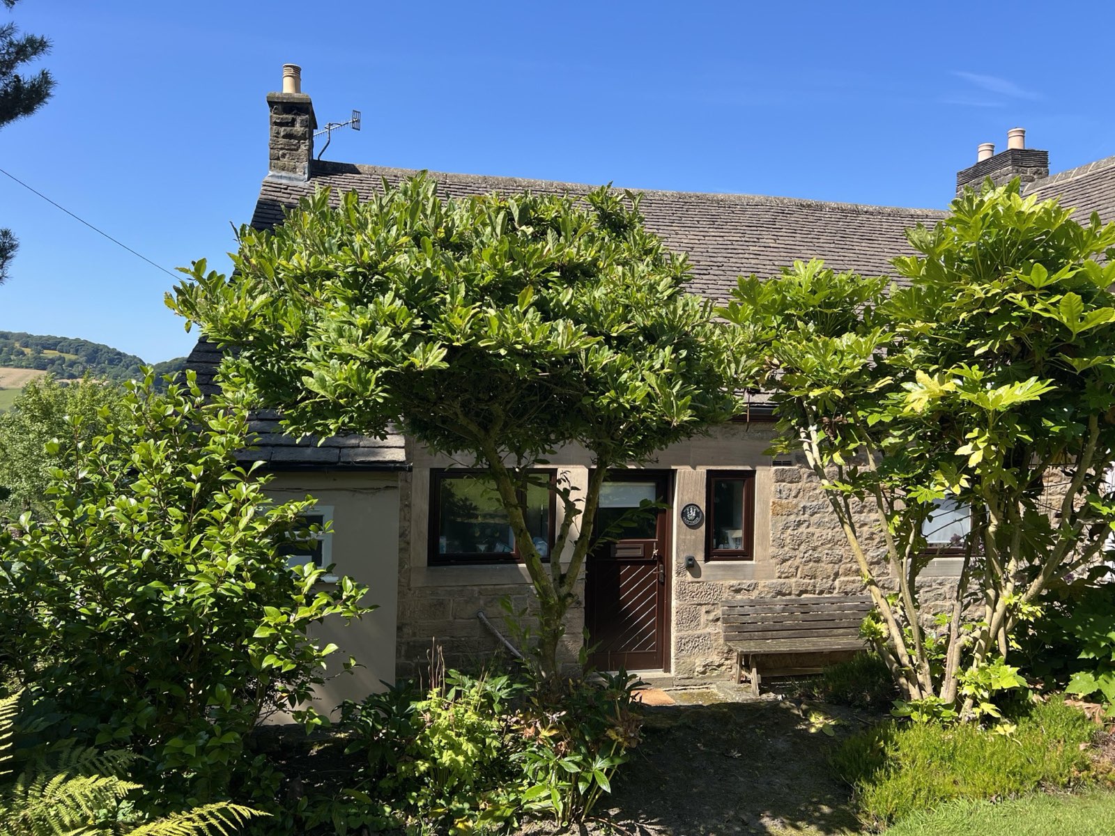 Woodside Cottage behind its summer greenery