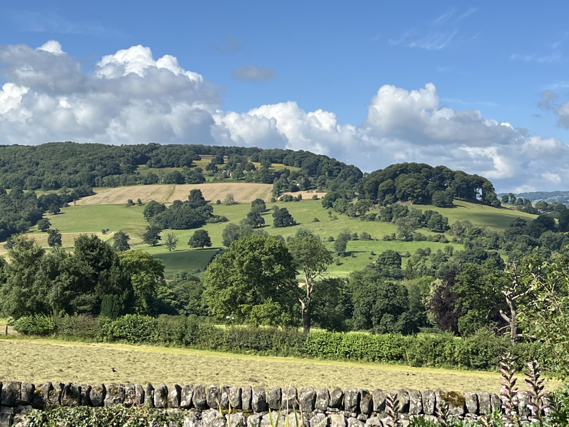 Rolling hills viewed from the grounds at Woodside Cottage